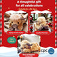 Noël Nouveau Jouet Cadeau🐂🎁Cute Cartoon Highland Cow Cuddly Toy