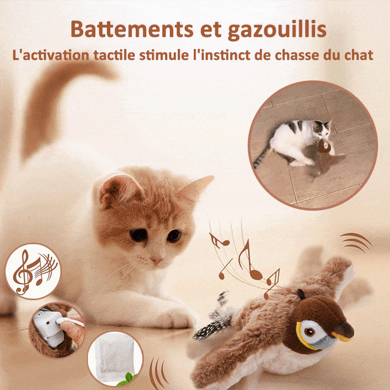 🔥Dernier jour 49% de réduction🐦Jouets à l'herbe à chat pour oiseaux à ailes battantes