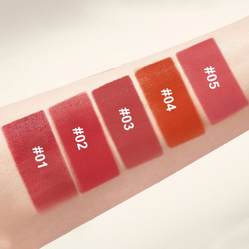 Rouge à Lèvres de Couleur de Longue Durée Multifonctionnel