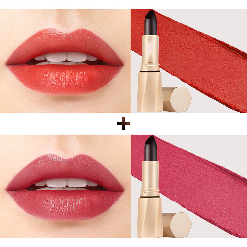 Rouge à Lèvres de Couleur de Longue Durée Multifonctionnel