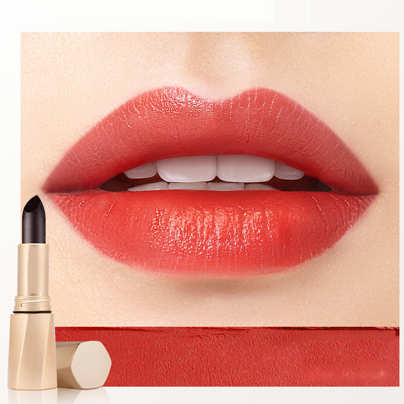 Rouge à Lèvres de Couleur de Longue Durée Multifonctionnel