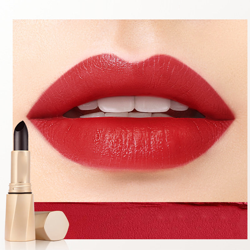 Rouge à Lèvres de Couleur de Longue Durée Multifonctionnel