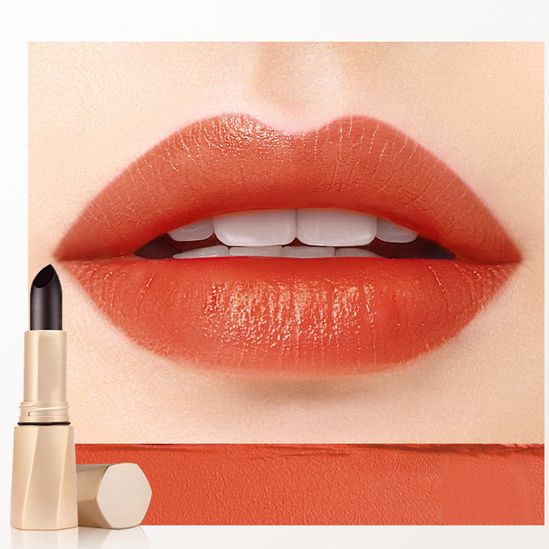 Rouge à Lèvres de Couleur de Longue Durée Multifonctionnel