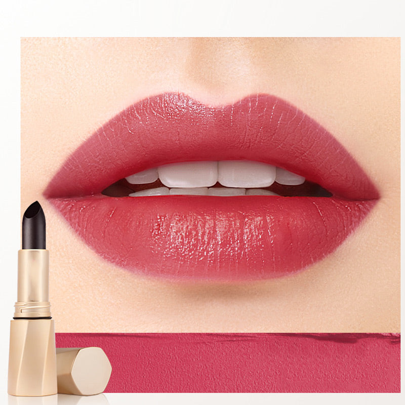 Rouge à Lèvres de Couleur de Longue Durée Multifonctionnel