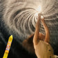 🌟ACHEZ 1 OBTENEZ 1 GRATUIT  🎆 Jouet de pulvérisation d'eau style feu d'artifice🔫💧