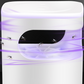 ✨Soldes d'été - 50% de réduction🔇🦟Piège à mouches UV avec boîte de capture transparente